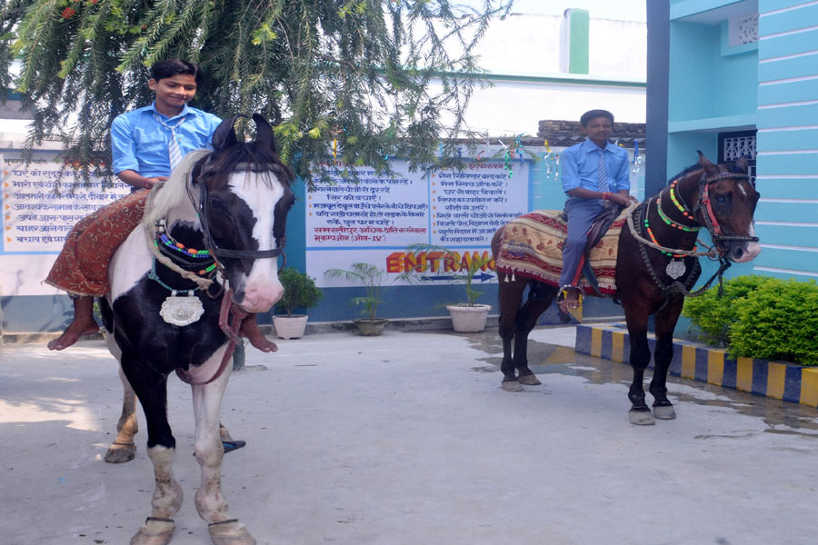 Horse Riding
