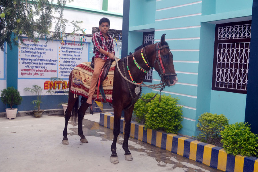 Horse Riding