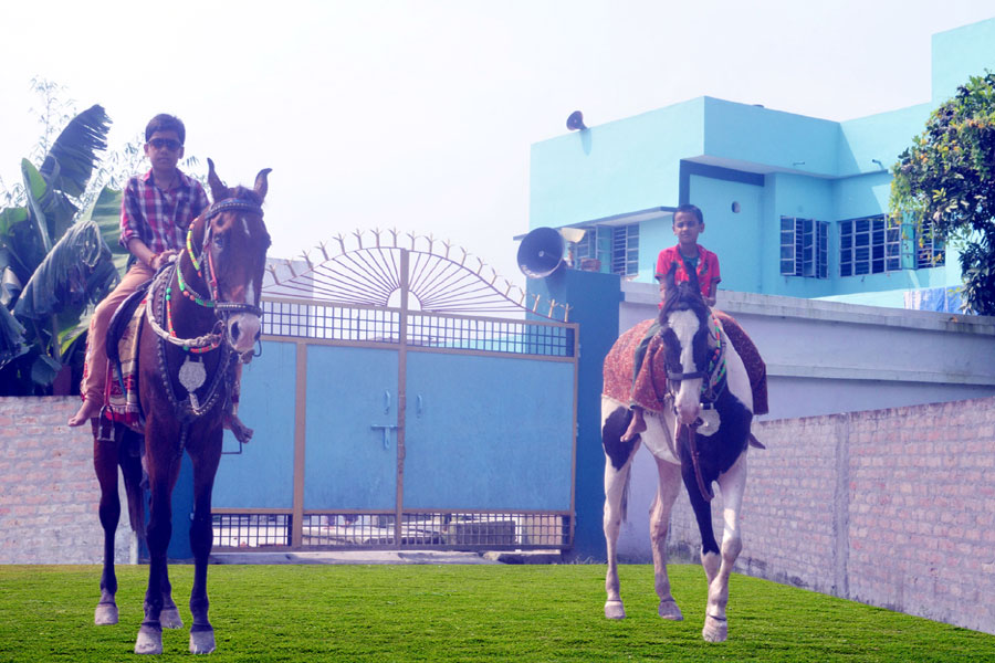 Horse Riding